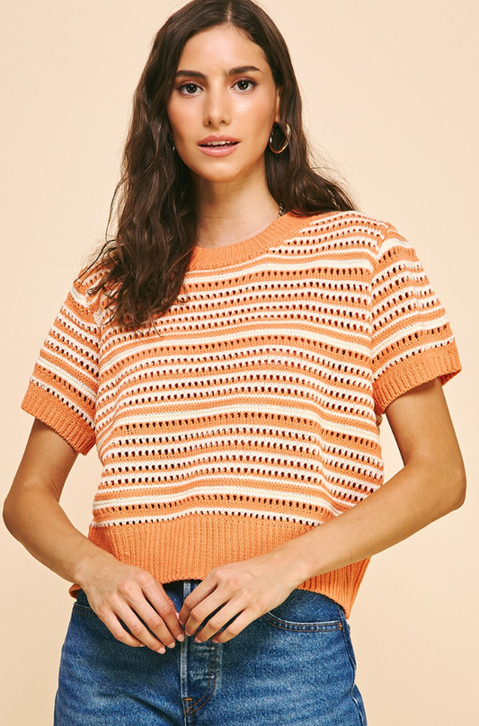 Ensley Eyelet Short Sleeve Sweater