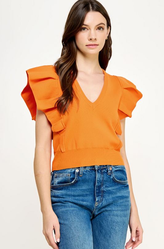 Layla Pleated Sleeve Knit Top