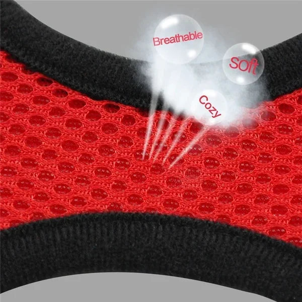 Breathable Mesh Harness & Leash