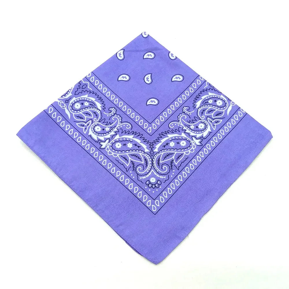 Bohemian Bandana Paisley Print Unisex Headband