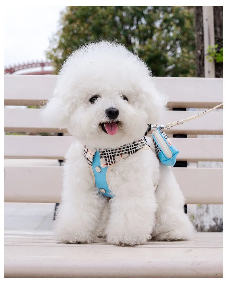 British-Style Dog Harness Set (3-Piece)