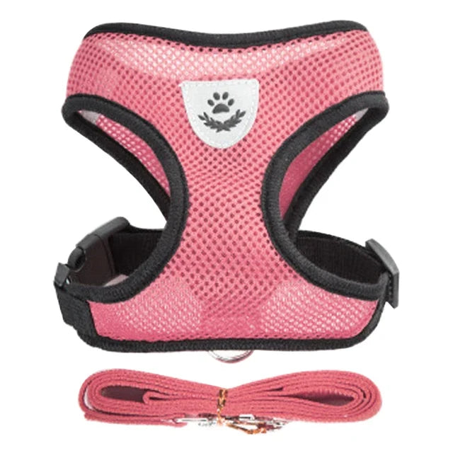 Breathable Mesh Harness & Leash