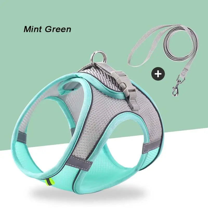 Reflective Mesh Harness & Leash Set
