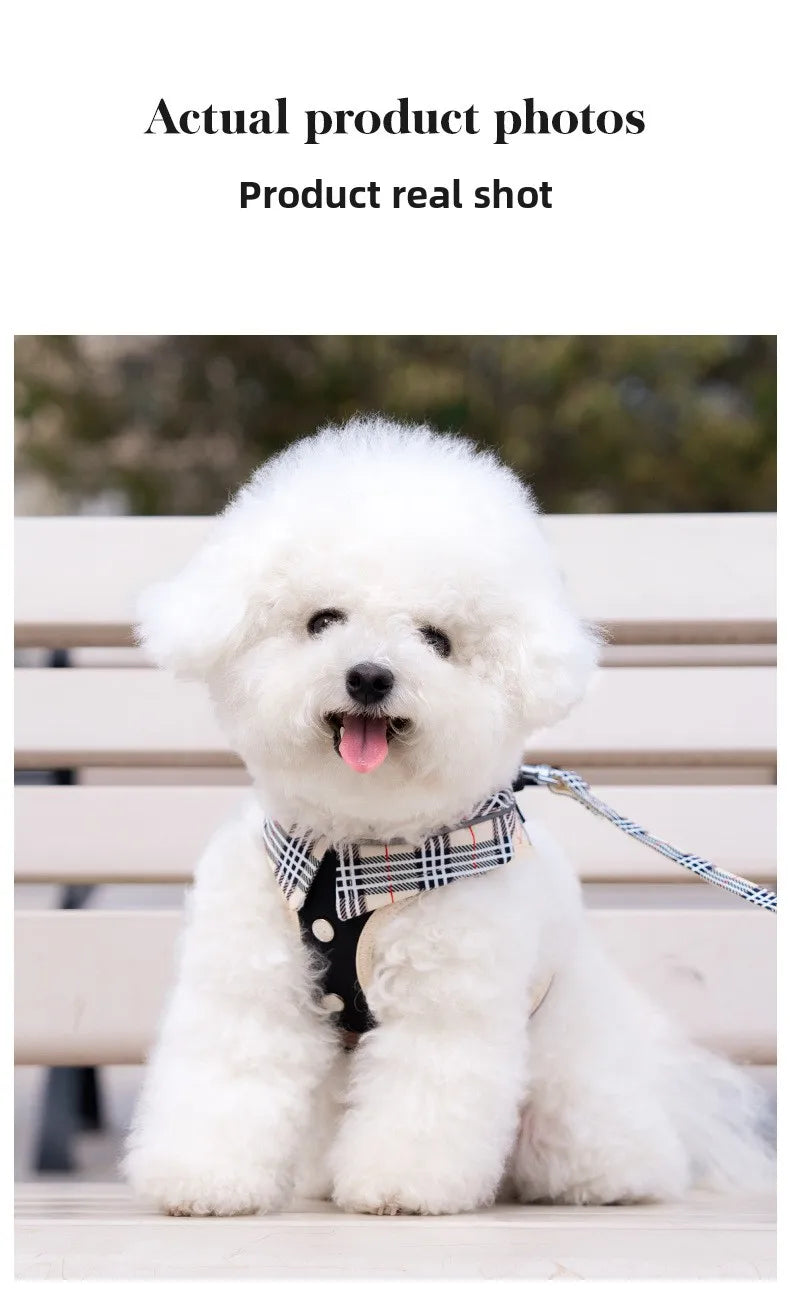 British-Style Dog Harness Set (3-Piece)