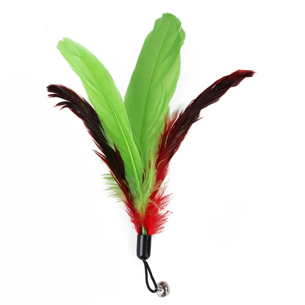 Cat Feather Wand Toy Set (11-Piece)