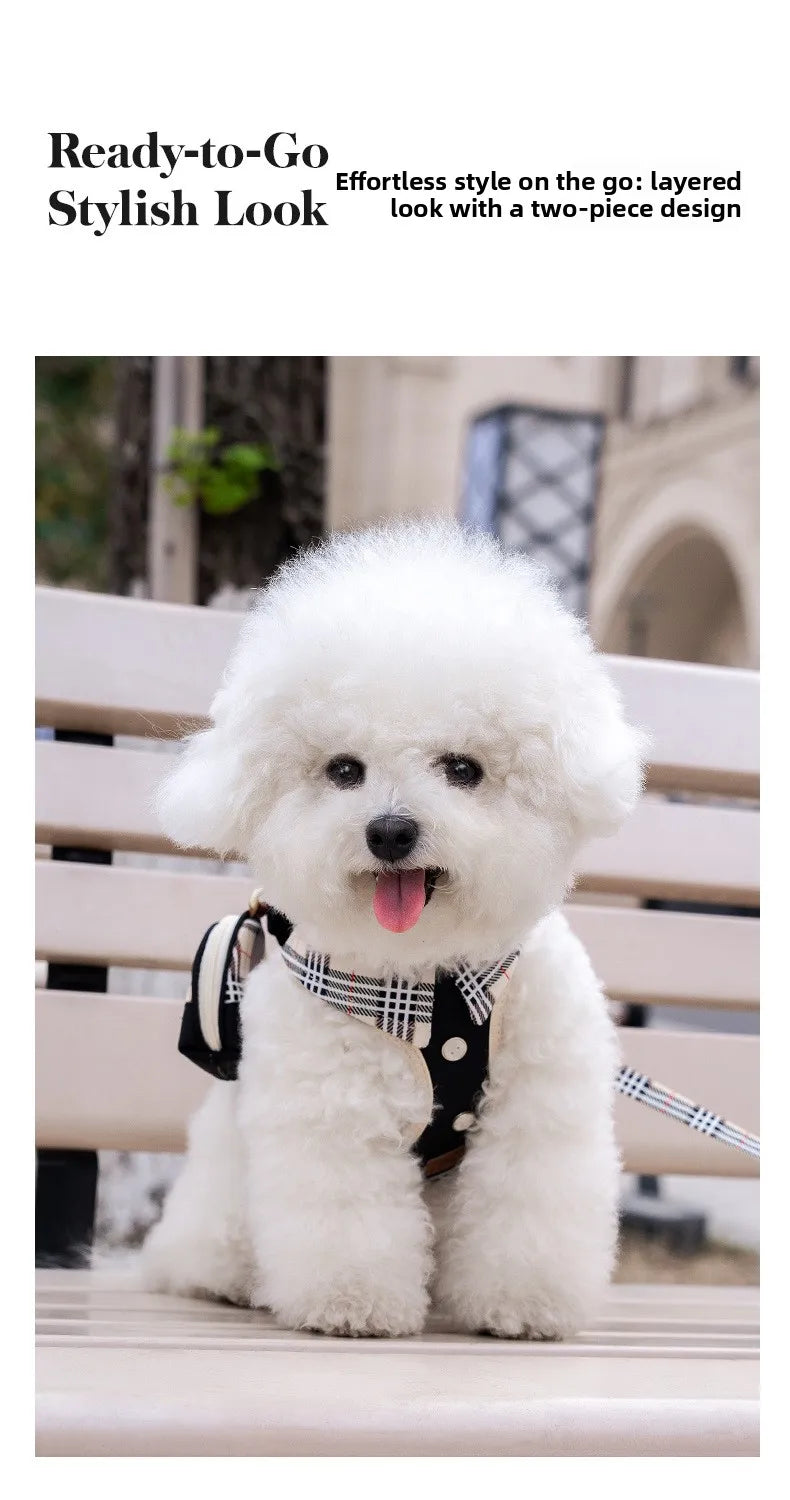 British-Style Dog Harness Set (3-Piece)