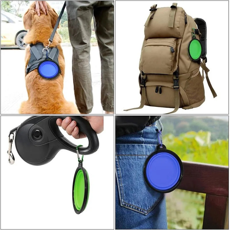Folding Travel Bowl with Bottle