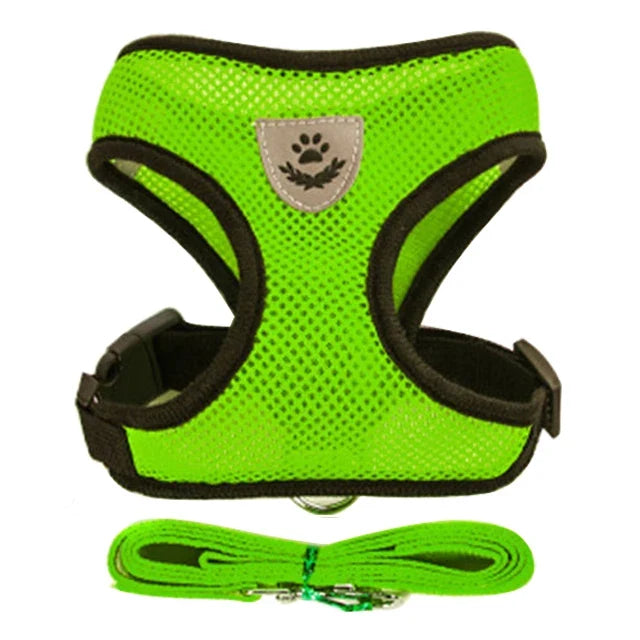 Breathable Mesh Harness & Leash