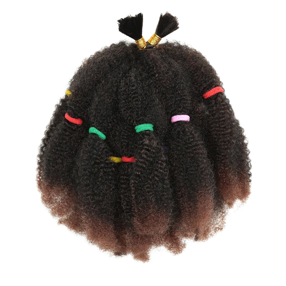 Curly Crochet – 12” Synthetic Ombre Afro Kinky Braiding Hair Extensions