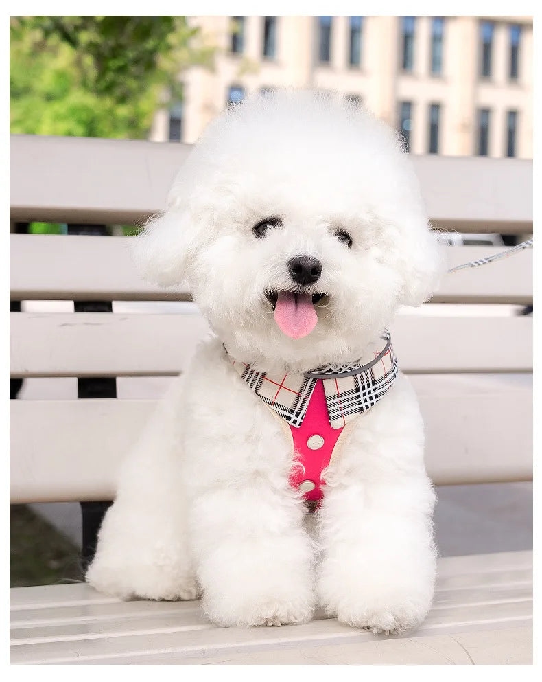 British-Style Dog Harness Set (3-Piece)