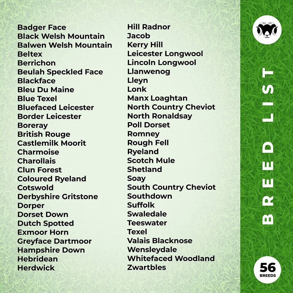 The Ultimate Sheep Breeds Poster
