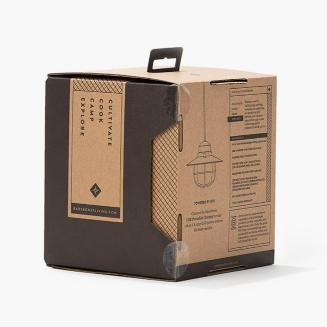 Barebones Edison Pendant Light