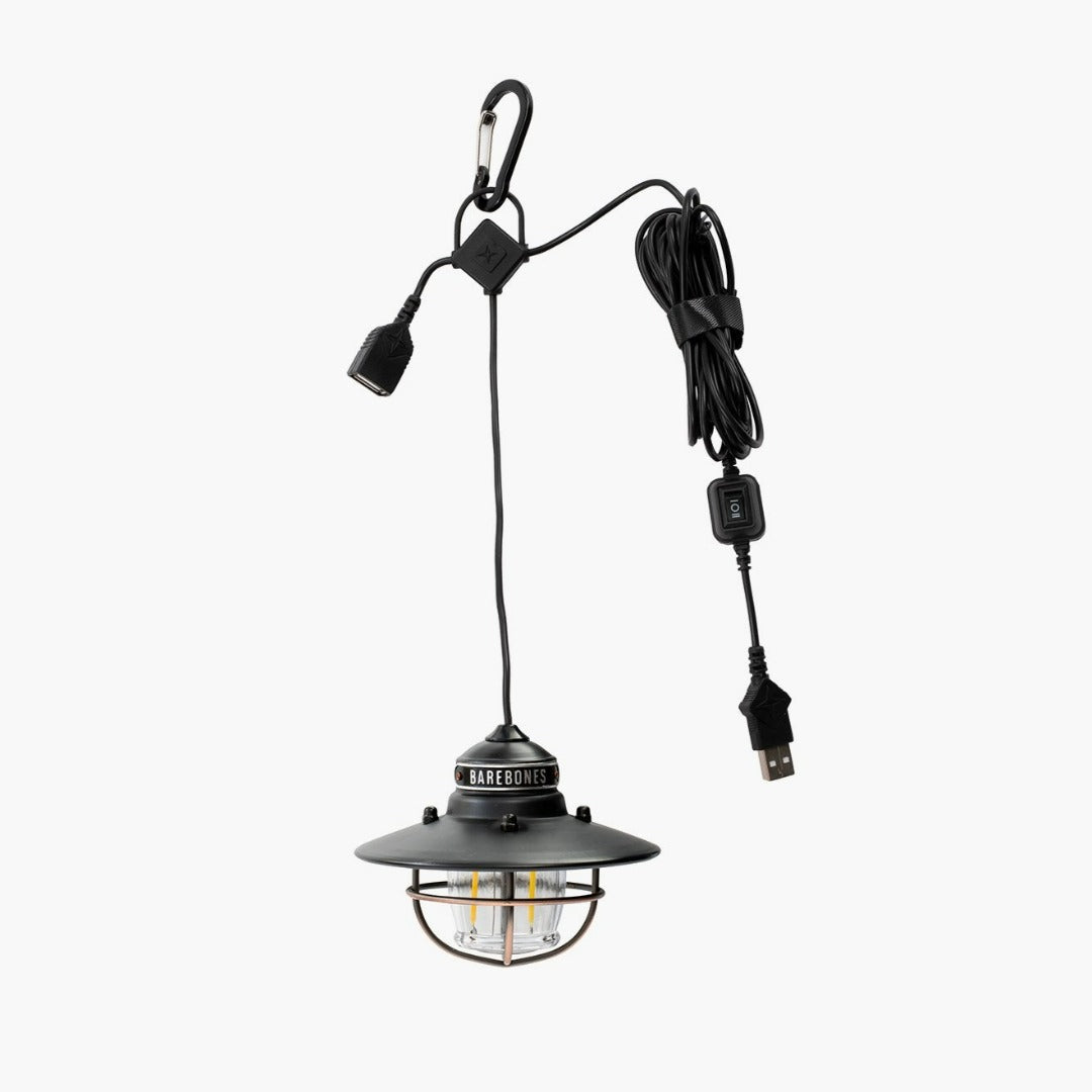 Barebones Edison Pendant Light