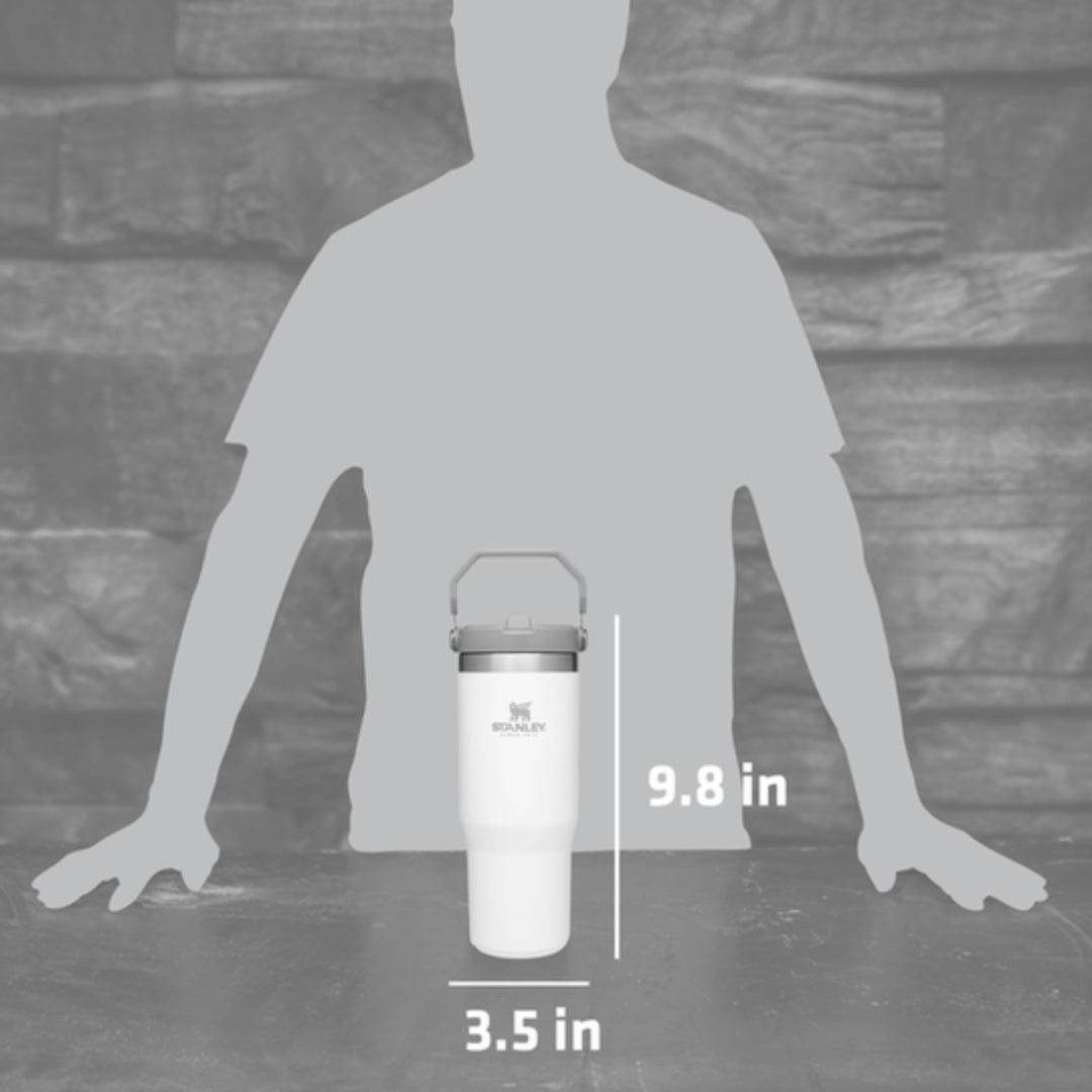 Stanley Flip Straw Water Bottle 17oz/22oz