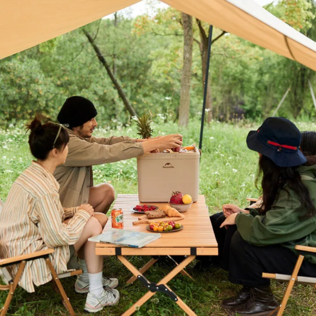 Naturehike (Lingdu 24H) Outdoor antibacterial cooler box