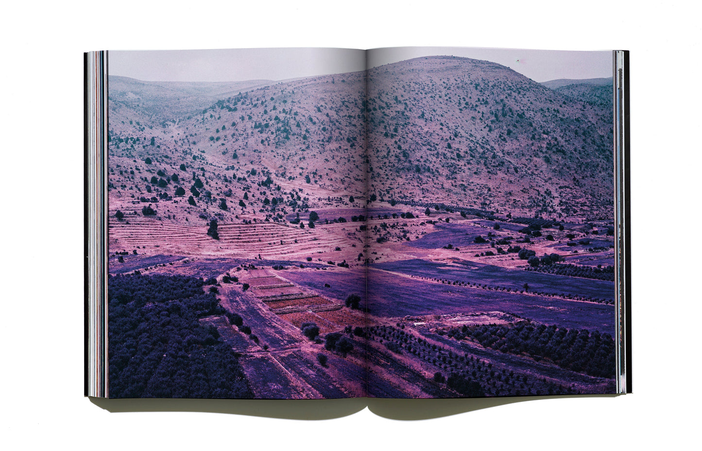 USELESS FIGHTERS MAGAZINE ISSUE 2