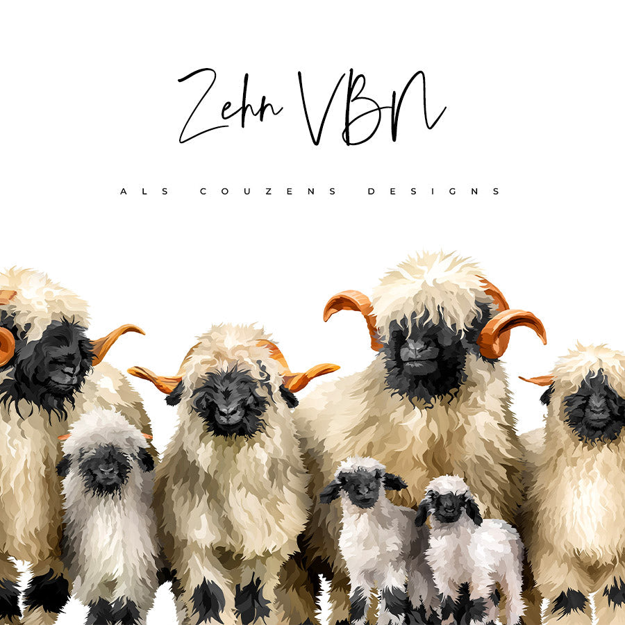 Valais Blacknose with Frame