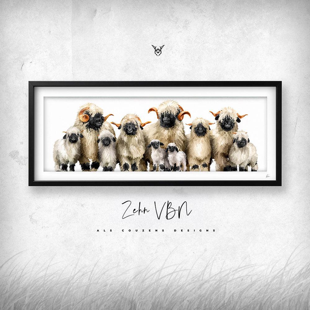 Valais Blacknose with Frame
