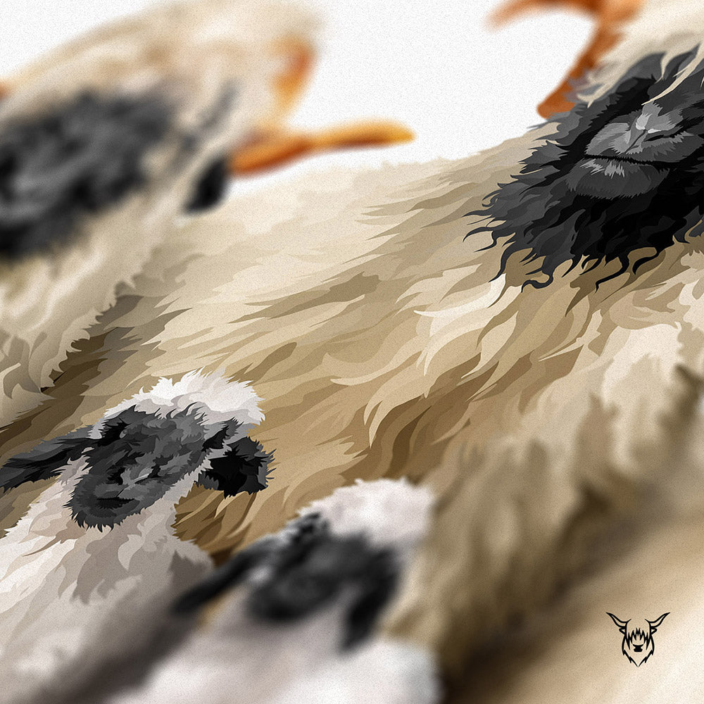 Valais Blacknose with Frame