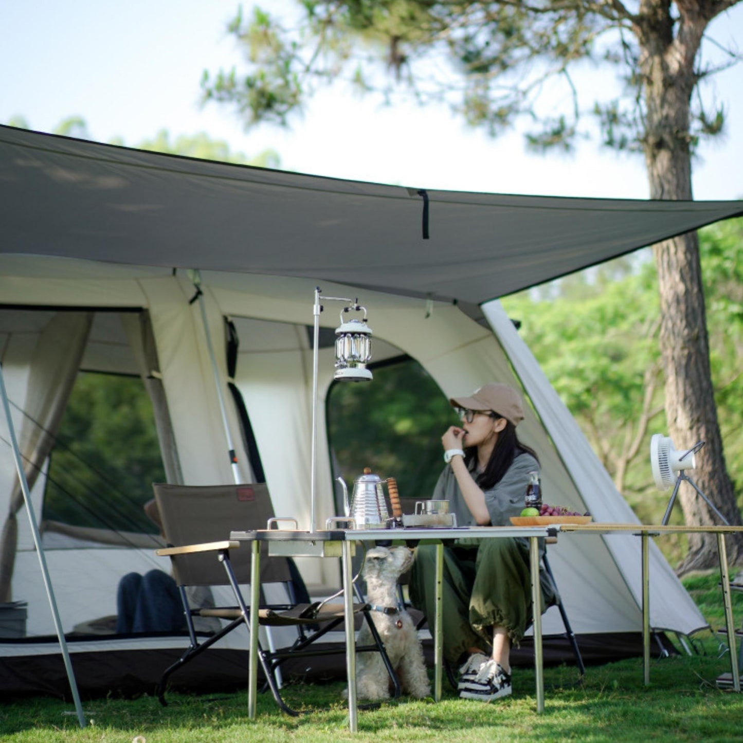 Vidalido Vicore Tent  - Large and Mini