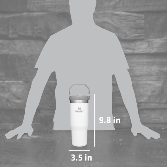 Stanley 17Oz Classic Flip Straw Wtr Btl Guava