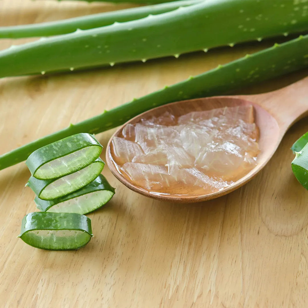 Fragrance Oil Aloe Vera