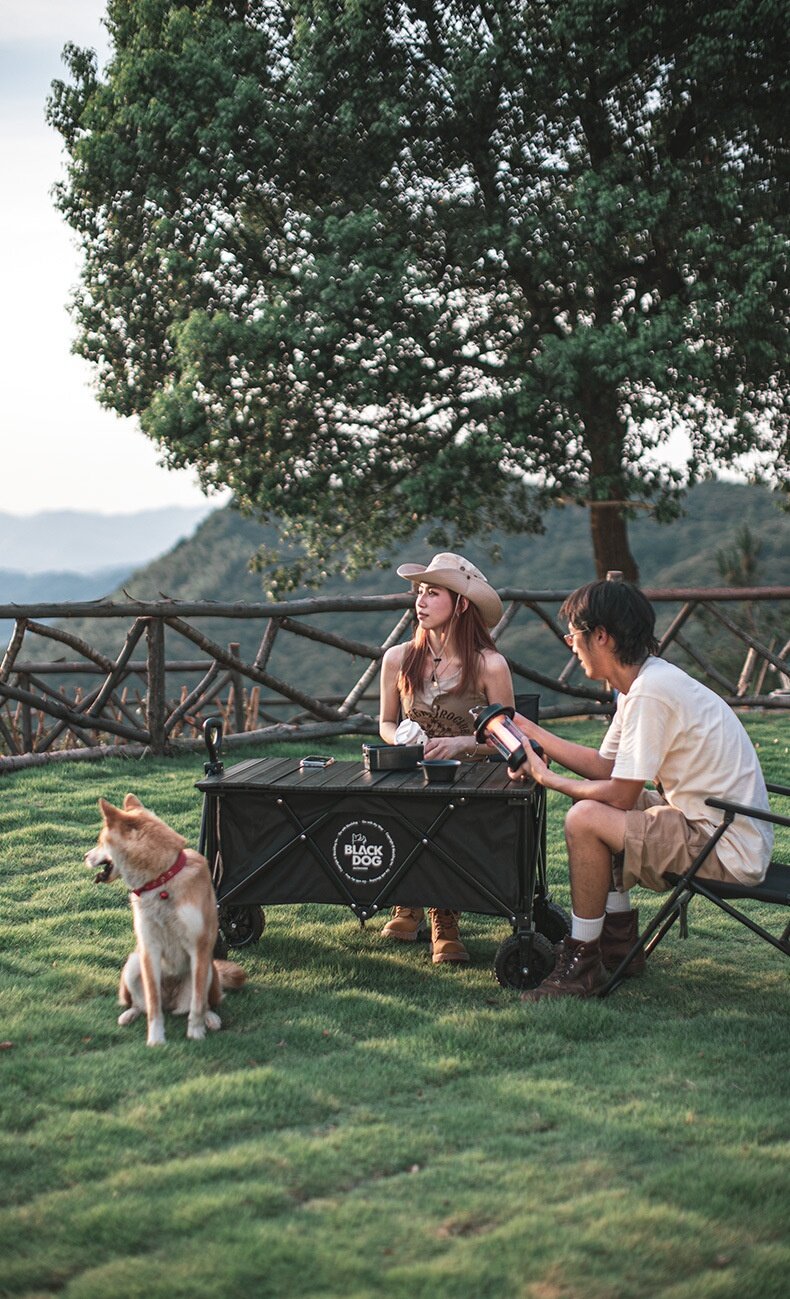 BLACKDOG Trolley Cart Tabletop Egg Roll Table Add-on Accessories Outdoor Camping Equipment