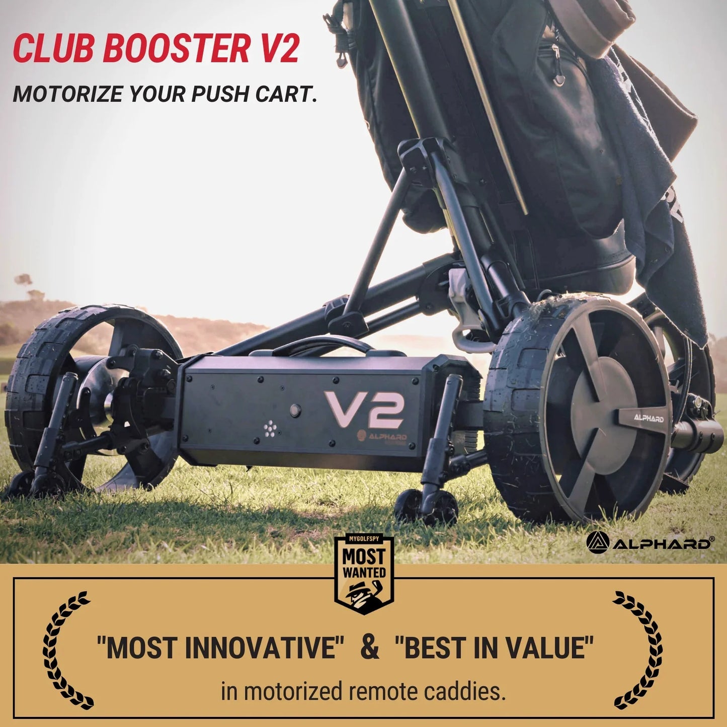 Alphard V2 Electric Golf Cart Conversion Kit