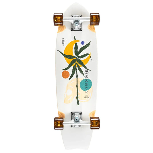 Arbor Sizzler Venice Complete Cruiser - 30.5″