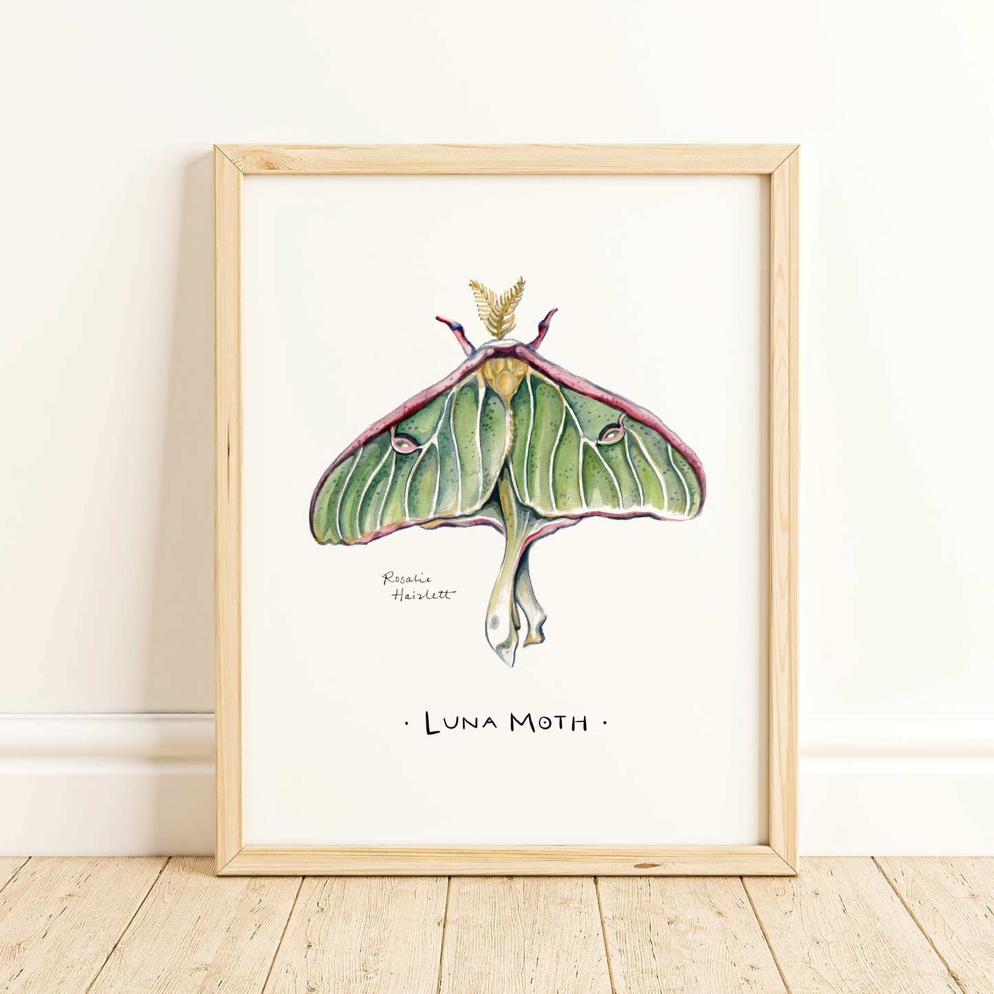 Luna Moth Watercolor Art Print