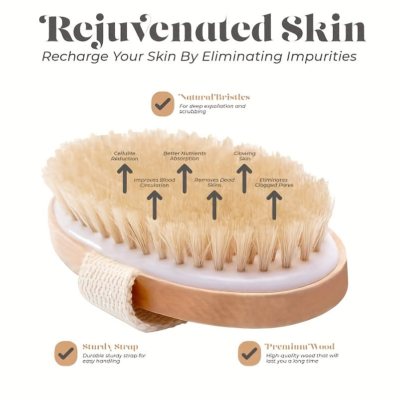 Natural Bristle Dry Brush for Exfoliation & Lymphatic Drainage - DIV0