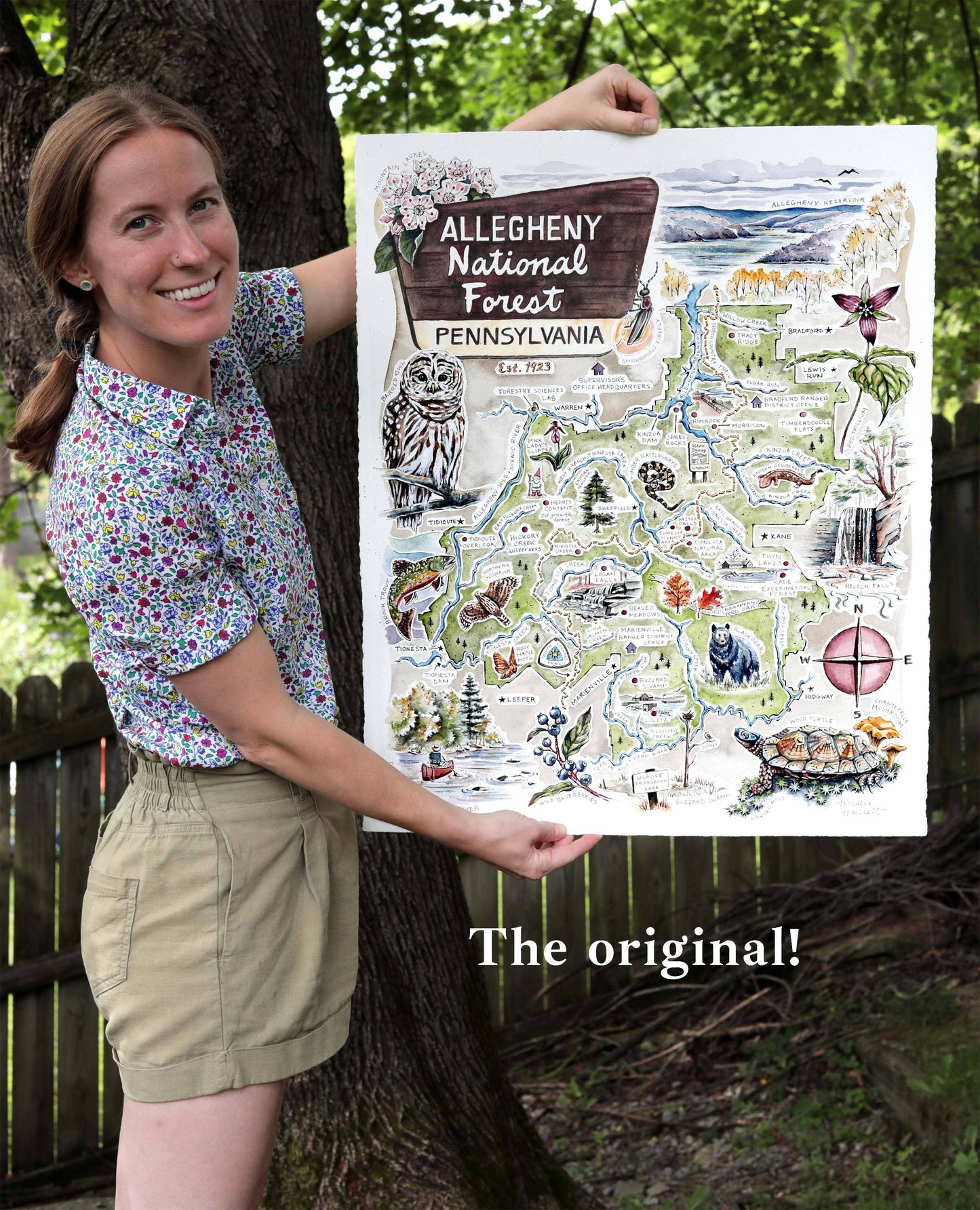 Allegheny National Forest Illustrated Map