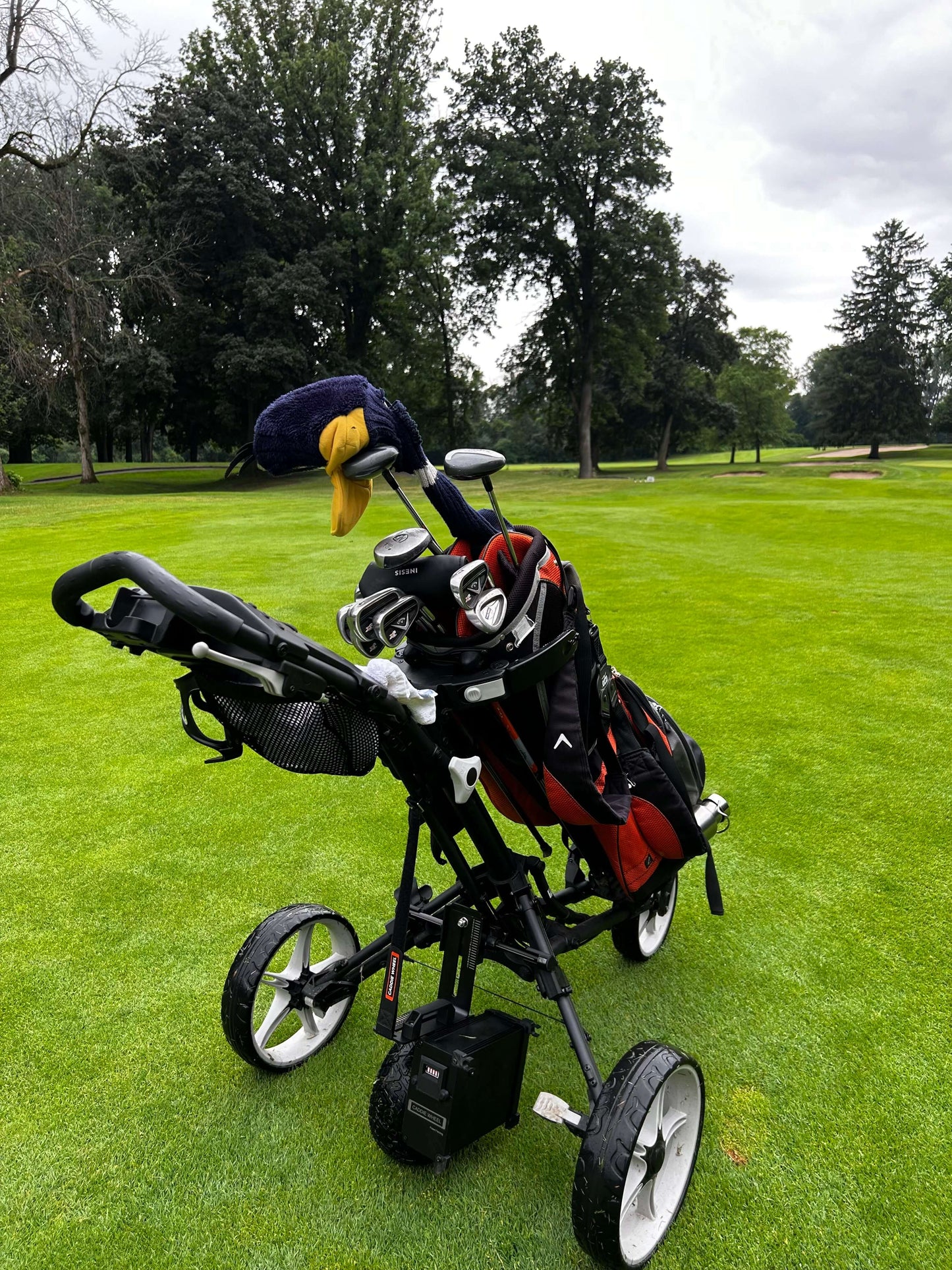 Caddie Wheel + Bag Boy Nitron Auto-Open Push Cart Bundle