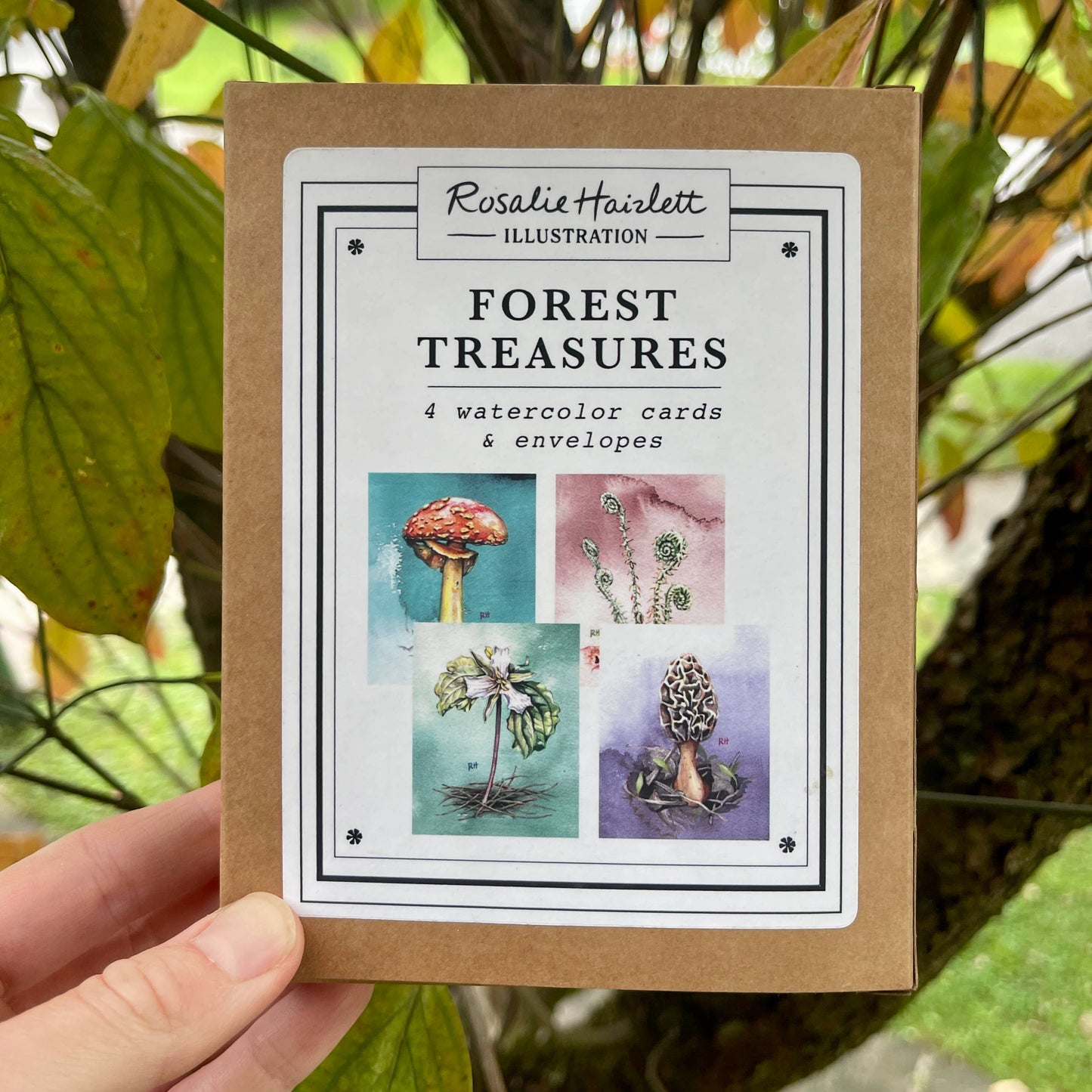 Rosalie Haizlett Illustration - Forest Treasures  - Set of 4 Assorted Greeting Cards