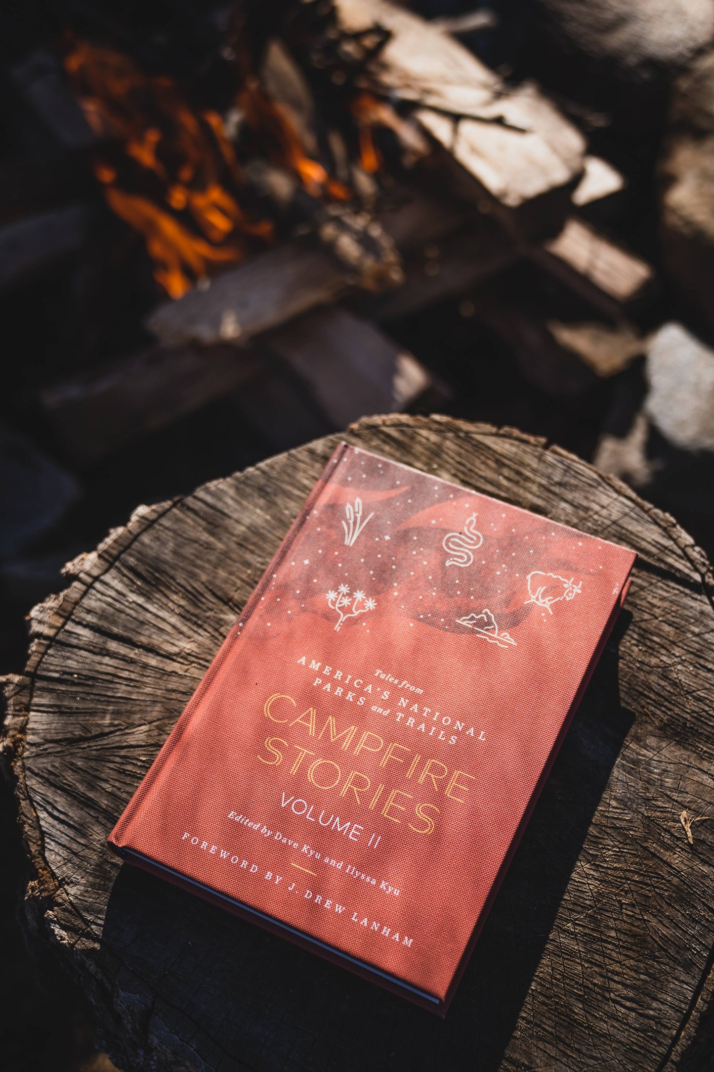 Mountaineers Books - Campfire Stories Volume II