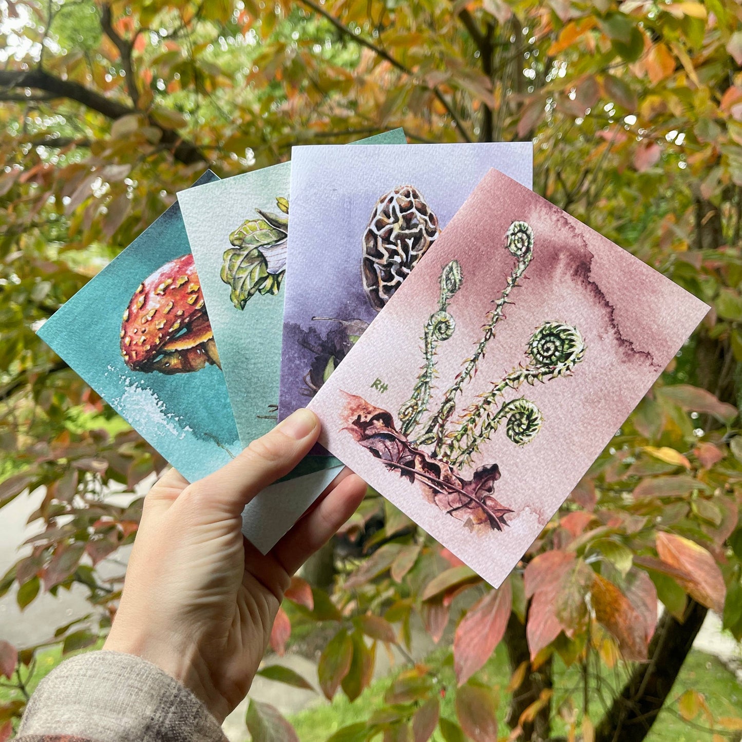 Rosalie Haizlett Illustration - Forest Treasures  - Set of 4 Assorted Greeting Cards
