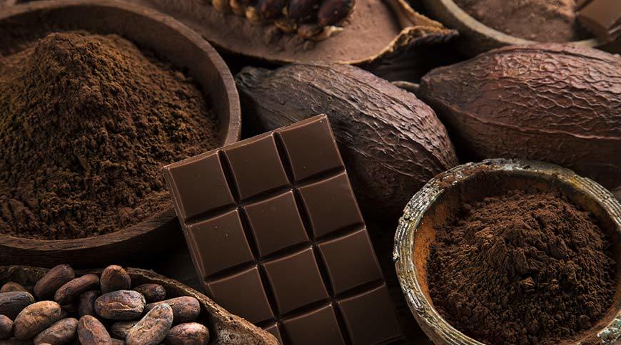 Fragrance Flavour Dark Chocolate