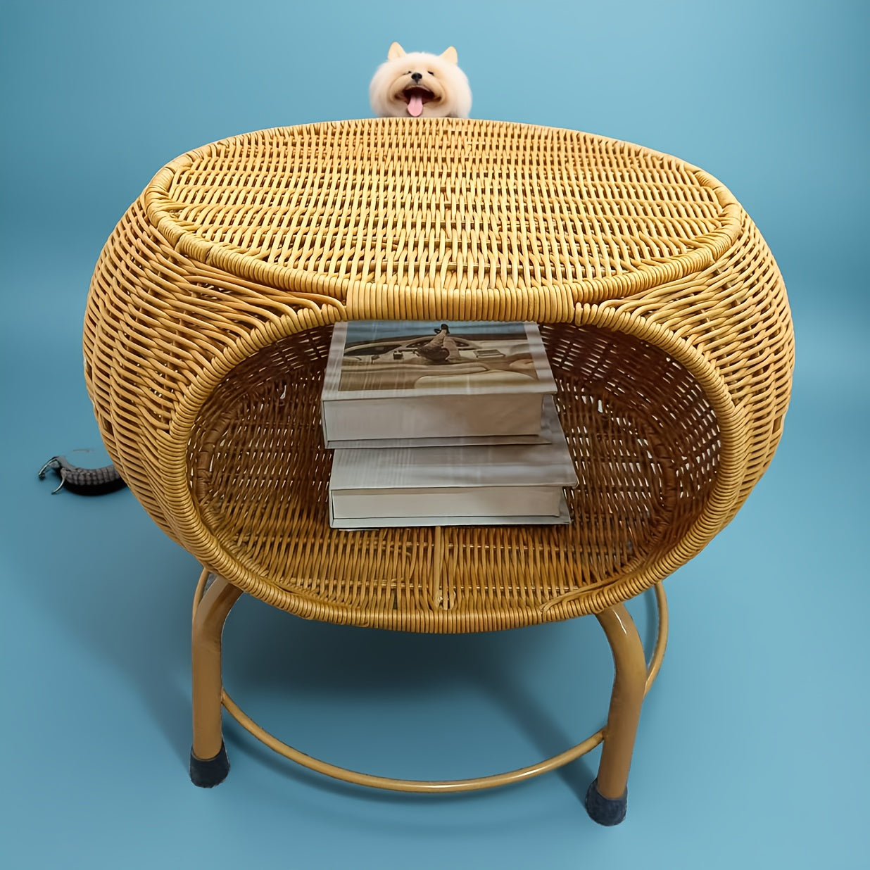 Rattan Storage StoolTable for All Occasions-QE25