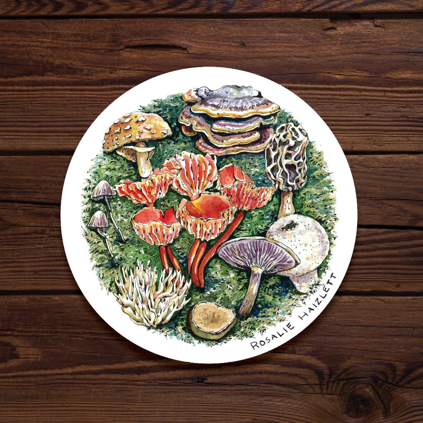 Forest Mushrooms Waterproof Sticker