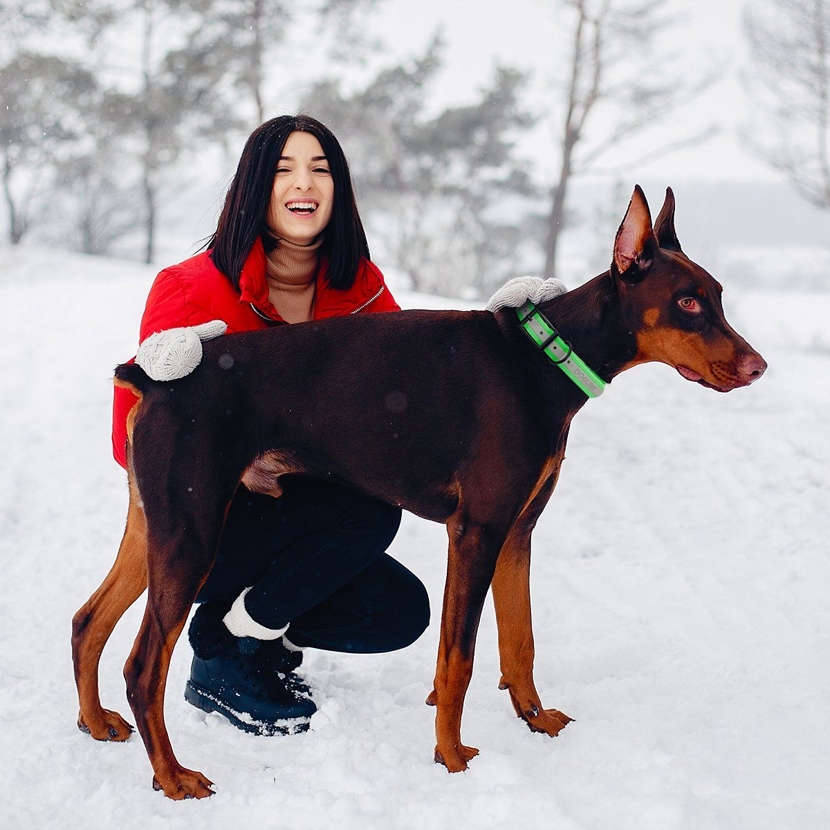 Dogline Biothane Translucent Reflective Collar