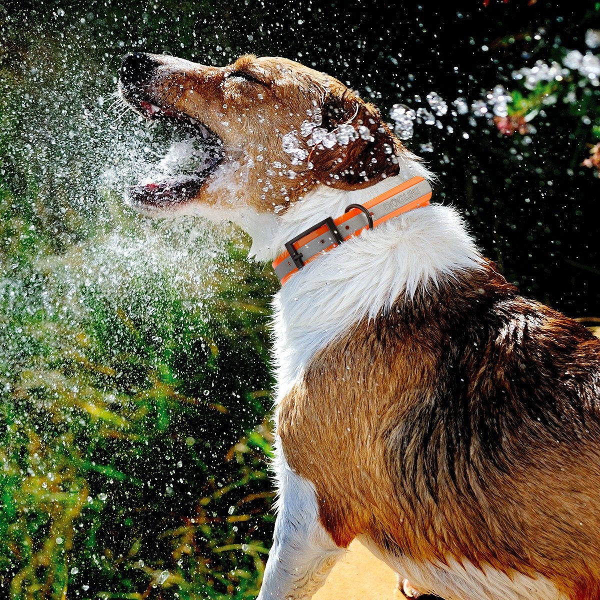 Dogline Biothane Translucent Reflective Collar