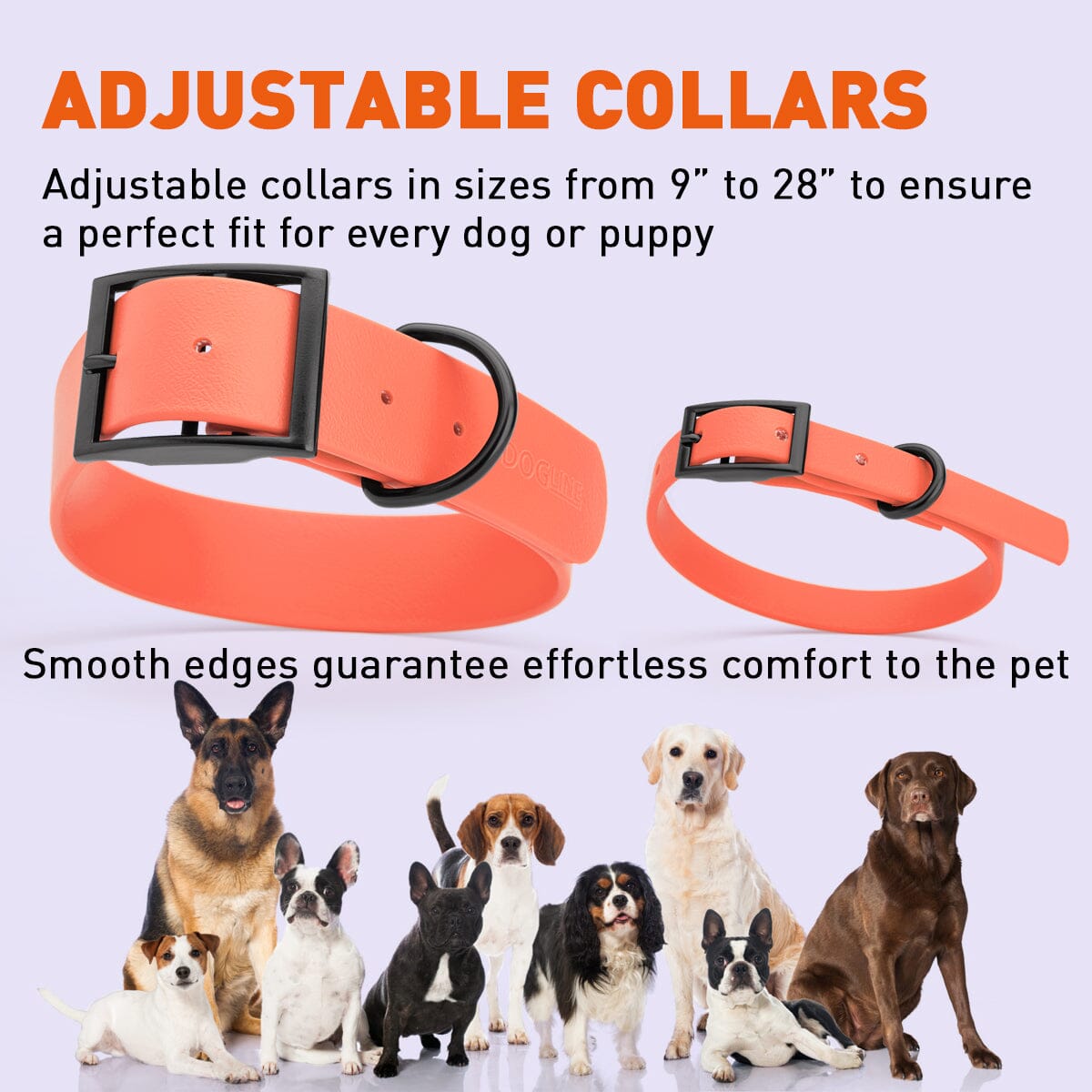 Dogline Biothane Waterproof Collar - Small (12 to 15 inches)