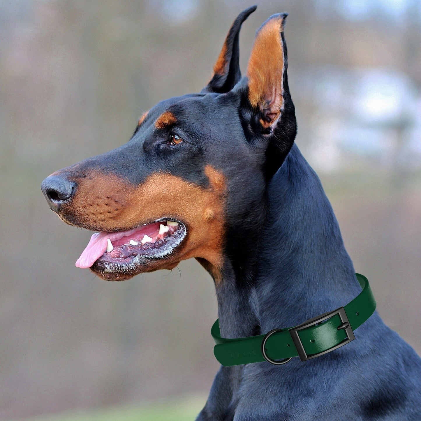 Dogline Biothane Waterproof Collar - Wide - XX-Large (24 to 28 inches)