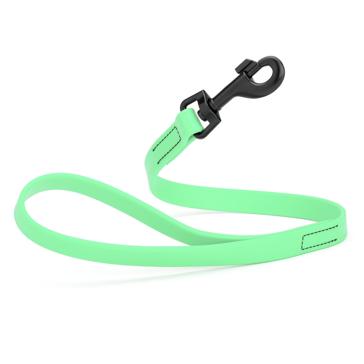 Dogline Biothane Waterproof Leash 2 ft