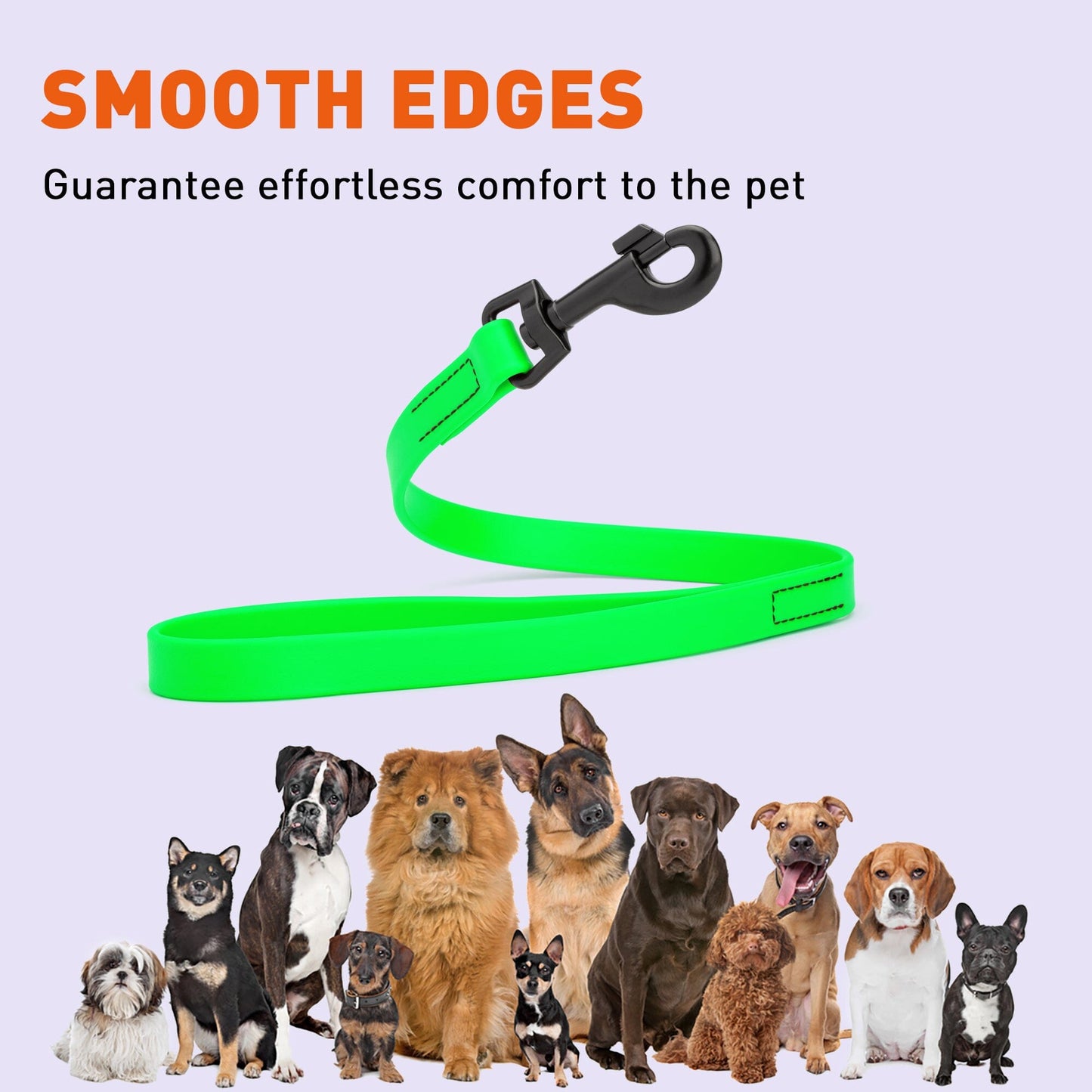 Dogline Biothane Waterproof Leash 2 ft