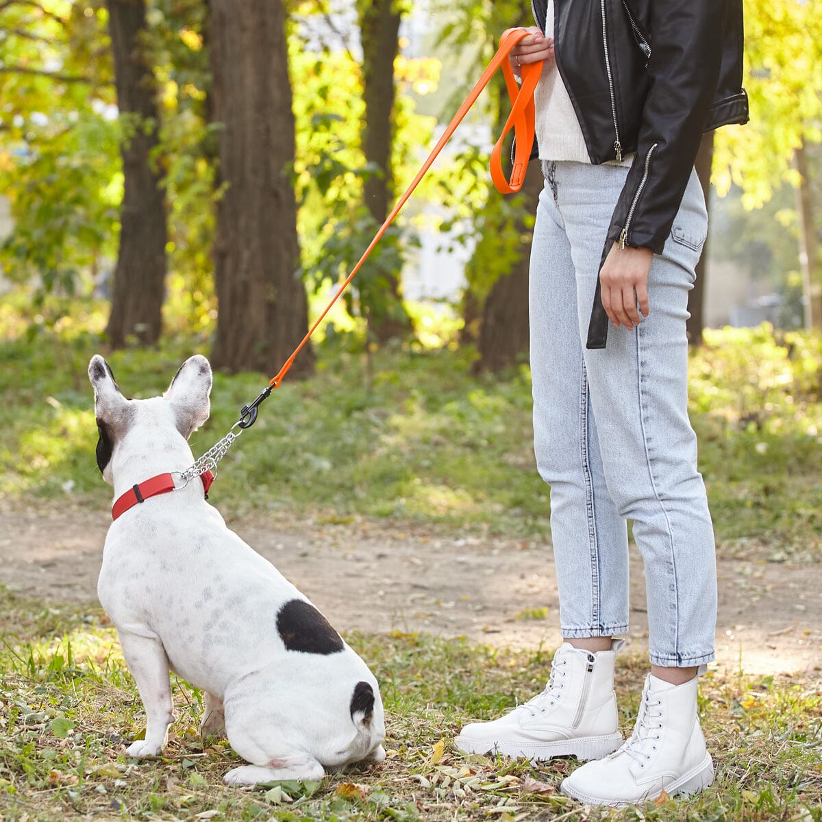 Dogline Biothane Waterproof Leash 2 ft