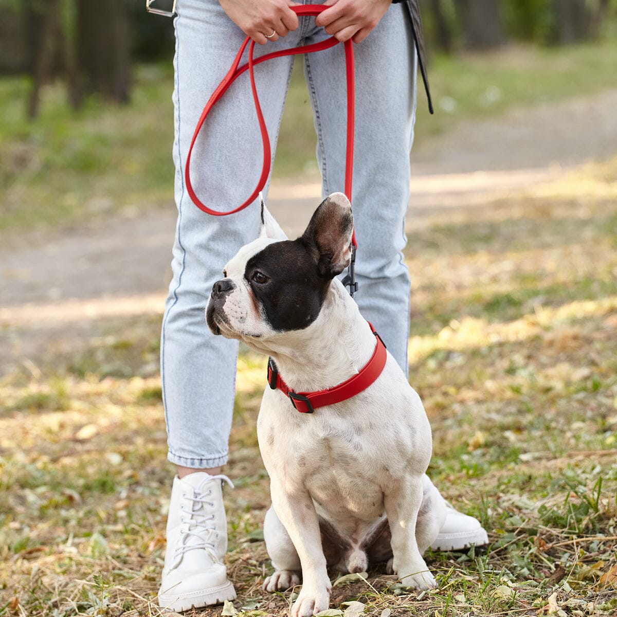 Dogline Biothane Waterproof Leash 2 ft