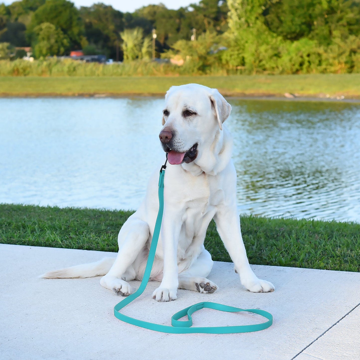 Dogline Biothane Waterproof Leash 2 ft