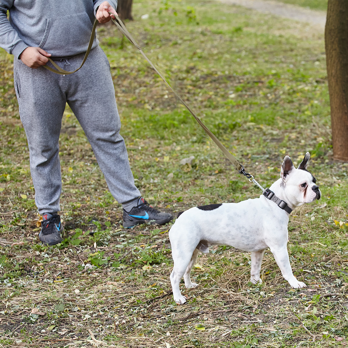 Dogline Biothane Waterproof Multi-Handle Leash