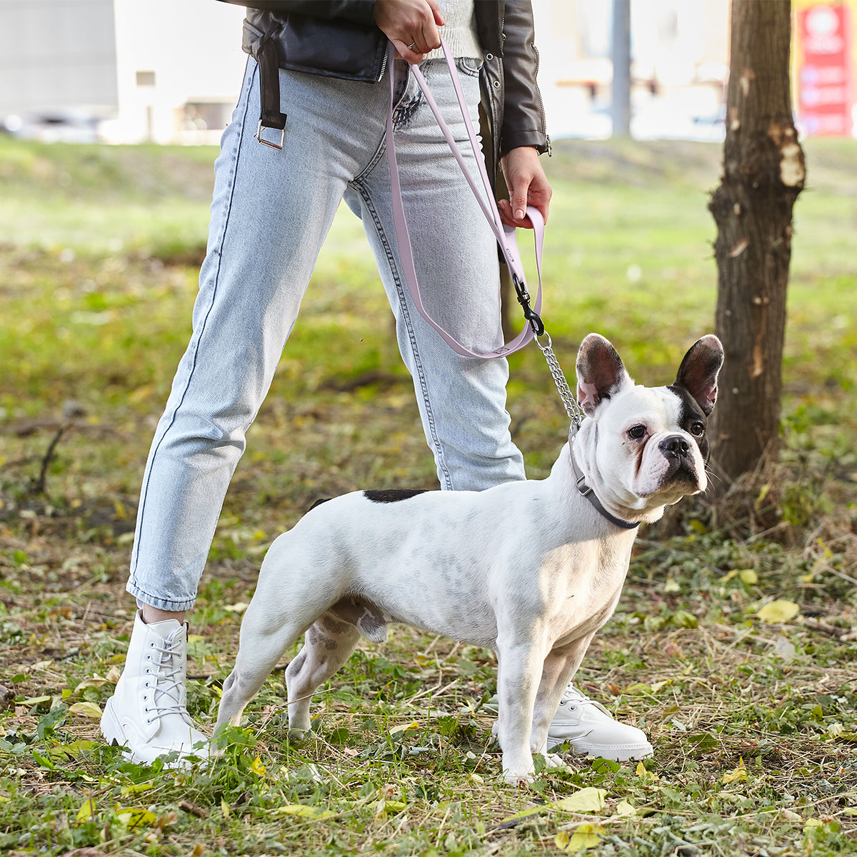 Dogline Biothane Waterproof Multi-Handle Leash